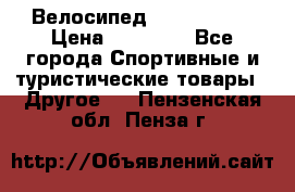 Велосипед Viva Castle › Цена ­ 14 000 - Все города Спортивные и туристические товары » Другое   . Пензенская обл.,Пенза г.